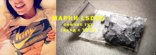хмурый Богородицк