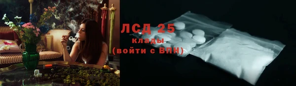 хмурый Магас