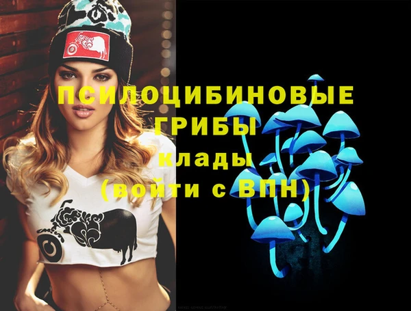 скорость Бородино