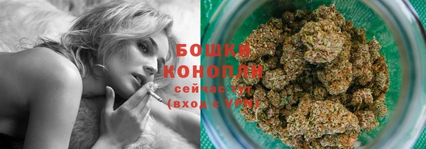 скорость Бородино