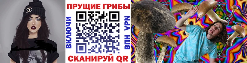 Галлюциногенные грибы ЛСД Короча